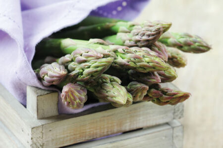 Plant a Perennial Food Garden